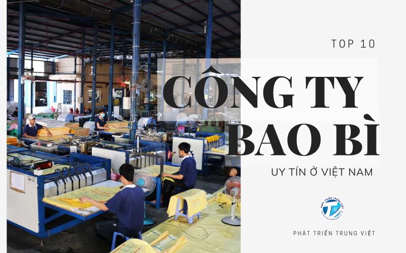 Top 10 Công Ty Bao Bì Uy Tín Ở Việt Nam Cập Nhật Mới Nhất